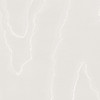 Watered Silk - Silver By Cole & Son
