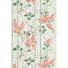 Wisteria - Coral/Sage/Parch By Cole & Son