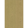 Wood Grain - Mid Oak By Cole & Son