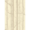 Woods - Beige/Cream By Cole & Son