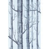 Woods - Choc/Silver By Cole & Son