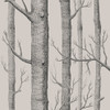Woods - Linen/Charcoal By Cole & Son