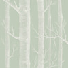 Woods - Old Olive By Cole & Son