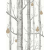 Woods & Pears - Blk/Wht/Brnz By Cole & Son