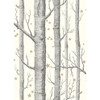 Woods & Stars - Black &White By Cole & Son