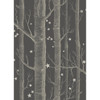 Woods & Stars - Charcoal By Cole & Son