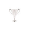 Go Home Ltd - Nickel Finish Trophy