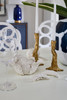 Villa & House - Vegetable Garden Set - Blanc De Chine