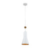 Lucas + McKearn Etoile Large 1 Light Pendant in White with Gilded Star and Gold Interior Shade