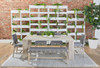Essentials For Living Costa Outdoor Dining Chair in Oat Flat Rope, Performance Ecru Weave, Washed Ever Teak (Set of 2)