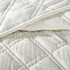 Ellora Casa by India's Heritage Georgia Velvet Quilt