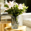 Small Oxtail Vase in Clear by Cyan Design