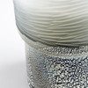 Squat Canyonland Vase in Clear And Guilded Silver by Cyan Design