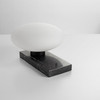 Lantana Lamp in Black by Cyan Design