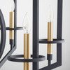 Oxalis Chandelier in Noir by Cyan Design