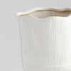 Large Astreae Pedestal Bowl in White by Cyan Design