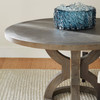 Zeno Dining Table in Grey by Cyan Design