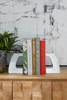 Apostrophe Bookends in Polished Aluminum by Cyan Design