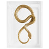Snake Box Designed by Thom Filicia in Clear & Brass by Cyan Design