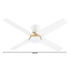 Santa Ana 52″ Ceiling Fan in Studio White Aged Brass Accent & Studio White Blades by Cyan Design