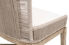 Essentials For Living Overlay Dining Chair in Oyster Twist Rope, LiveSmart Peyton Pearl, Natural Gray Mahogany (Set of 2)