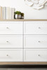 Essentials For Living - Wrenn 6-Drawer Double Dresser in Natural Gray Acacia, Matte White, Brushed Stainless Steel