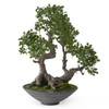 32 Inch Ficus Bonsai Tree with Faux Moss In Round Textured Pot by K&K Interiors 32 Inch Ficus Bonsai Tree with Faux Moss In Round Textured Pot by K&K Interiors