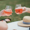 Classy and Sassy Stemless Wine Glass Set By Carved Solutions