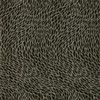 Corallino in Noir Wp, Wallcovering by Clarke & Clarke