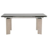 Essentials For Living - Jett Extension Dining Table in Natural Gray Ash, Chrome, Smoke Gray Glass