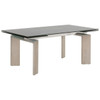 Essentials For Living - Jett Extension Dining Table in Natural Gray Ash, Chrome, Smoke Gray Glass