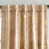 Cloud9 Design Raina Ombre Velvet Panel