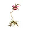 Jay Strongwater Marietta Orchid Objet - Flora