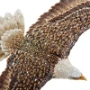 Jay Strongwater Soaring Eagle Figurine - 25th Anniversary