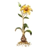 Jay Strongwater Delphina Lily Objet