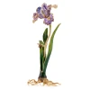 Jay Strongwater Vincent Iris Objet