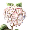 Jay Strongwater Nori Hydrangea Objet in Pink