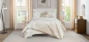 Cloud9 Design Rhodes Champagne Quilt Set