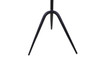 World Interiors - Glacier 18" Accent Table with Fancy Brown Marble