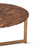 World Interiors - Mumbai 36" Coffee Table in Tiger Eye with Iron Base