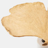 Global Views Ginkgo Leaf Side Table - Gold Leaf & White Marble