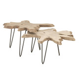 Essentials For Living - Drift Nesting Coffee Table