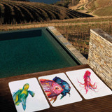 Squid Beach Towels by Graccioza