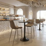 Zuo Modern Magnus Barstool (Set of 2) Brown & Silver