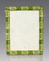 Jay Strongwater Pierce Striped Leaf Green 5" x 7" Crystal Picture Frame