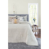 Cloud9 Design Ivy King/Queen Size Quilt IVY01-GY