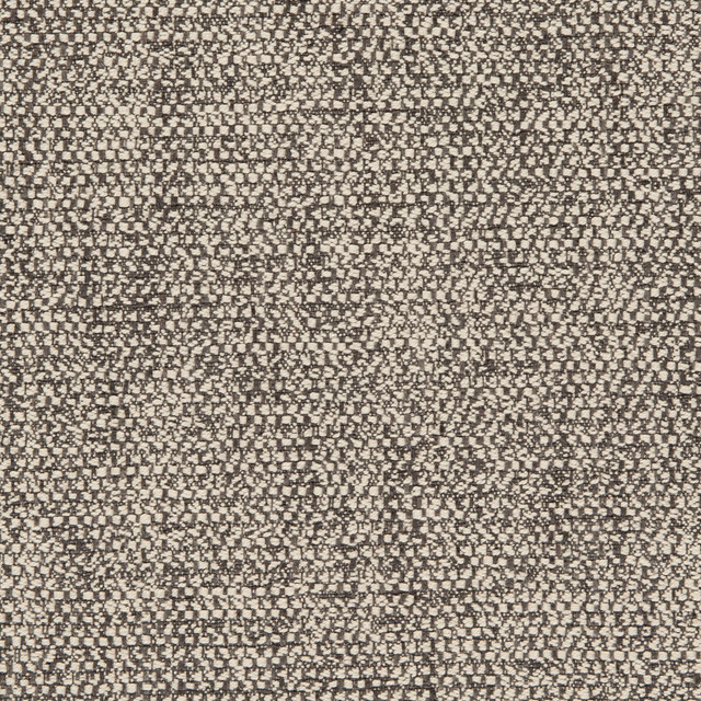 F0581/01.Cac.0 Angus in Charcoal By Clarke & Clarke