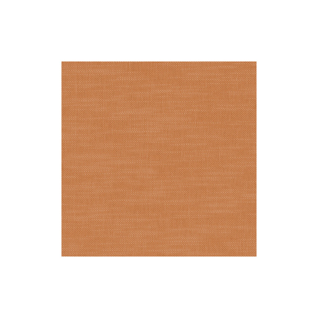 F1239/51.Cac.0 Amalfi in Pumpkin By Clarke & Clarke
