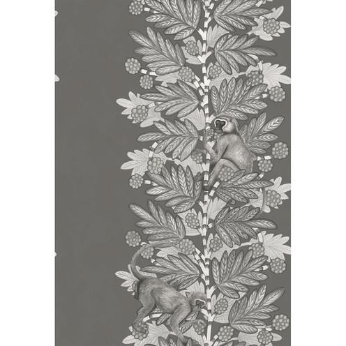 Acacia - Charcoal & Silver By Cole & Son