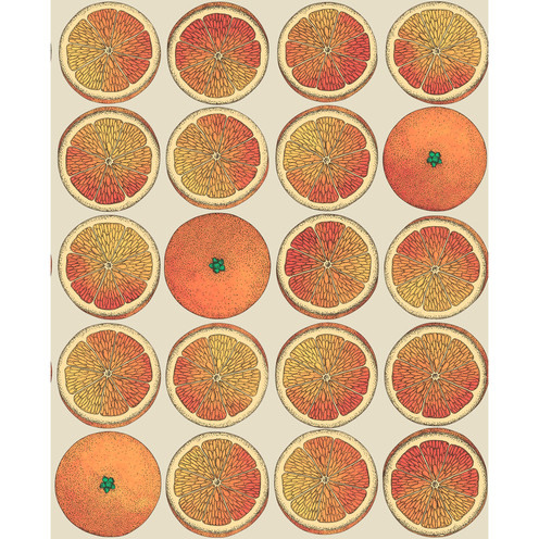 Arance - Orange/Cream By Cole & Son